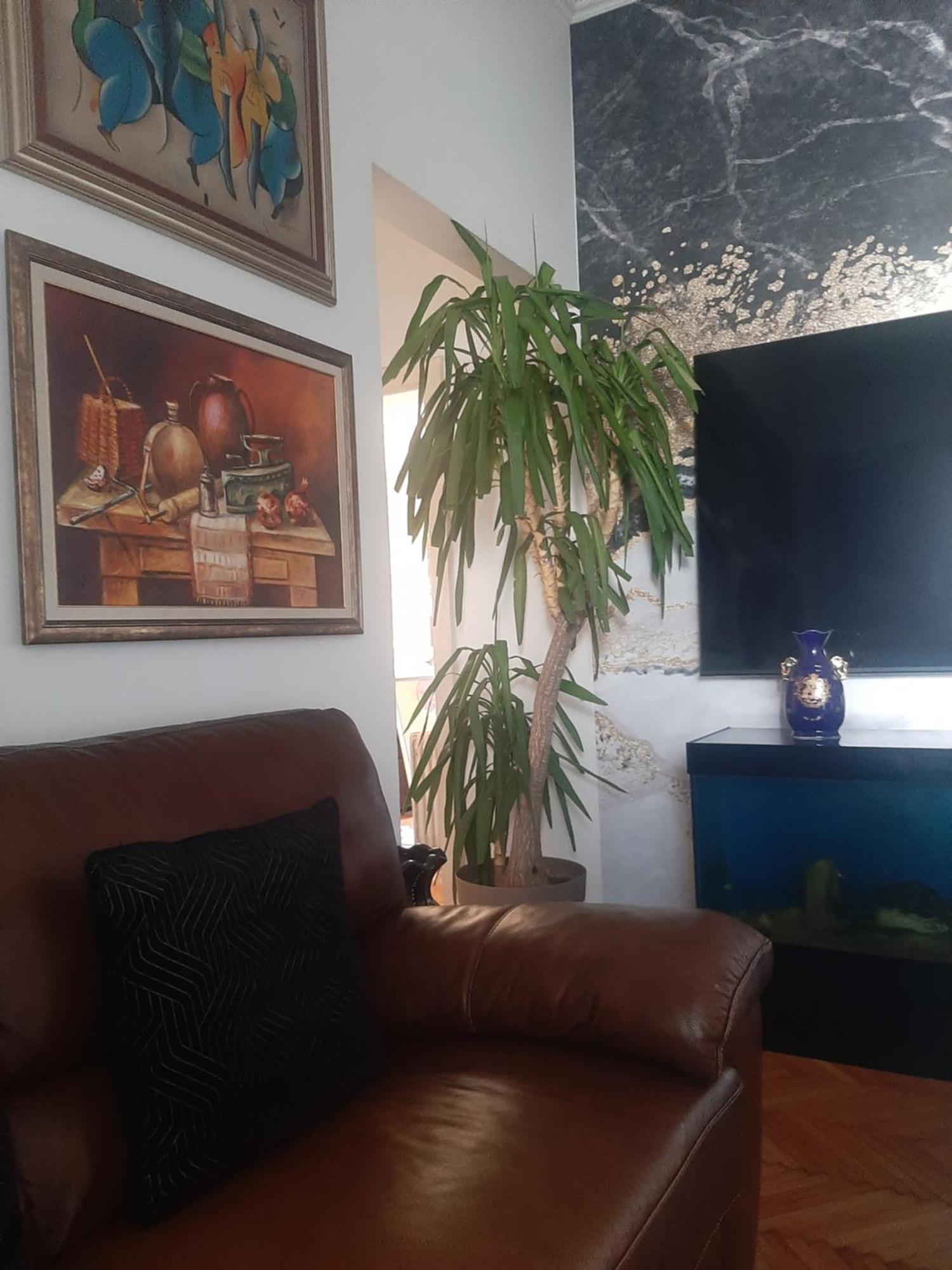 Ferienwohnung Stylish King Downtown Podgorica Exterior foto